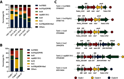 图3. tetA质粒复制子的流行趋势及其遗传环境分析