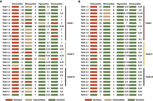 图4. 不同TetA变体对四代四环素类抗生素的耐药表型
