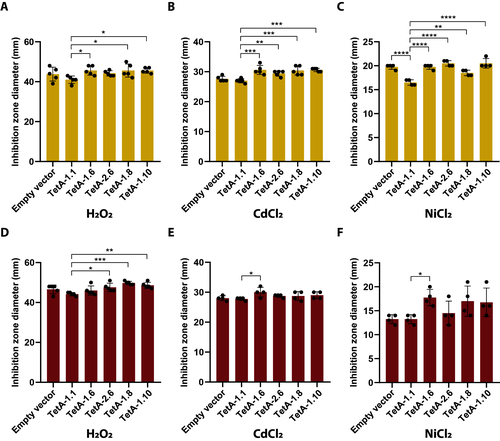 图5. 高风险TetA变体对消毒剂和重金属的辅助敏感性